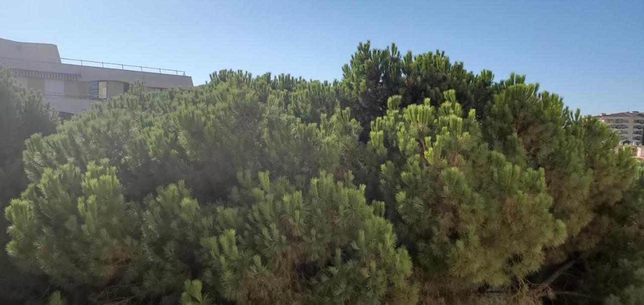Frejus Plage La Miougrano, T2-3 49M2, 5 Personn المظهر الخارجي الصورة